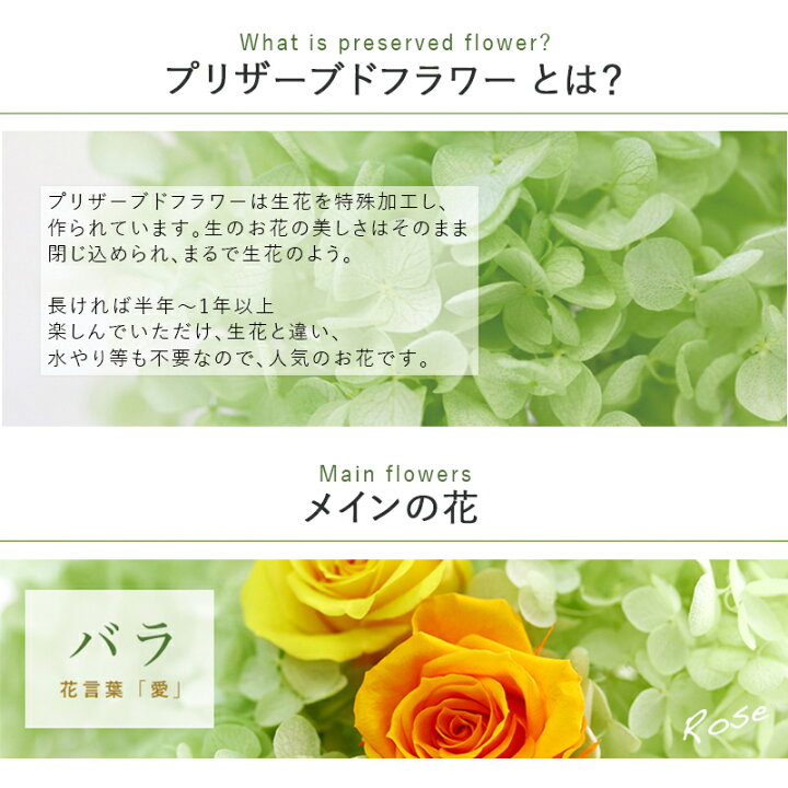 楽天市場 プリザーブドフラワー Coronal コロナル 壁掛け ケース入り 母の日 早割 花 誕生日 プレゼント 女性 母 祖母 父 定年 退職祝い 新築祝い 友人 おしゃれ ギフト お花 開店祝い 開業祝い 花 ブリザードフラワー バラ 結婚祝い お祝い 結婚記念日 贈り物 あす楽