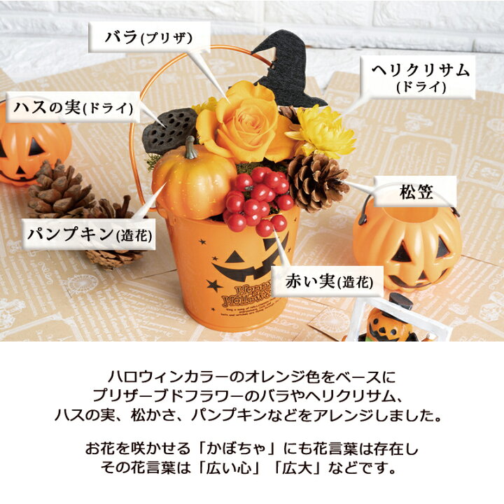楽天市場 あす楽 ハロウィンバケット プリザーブドフラワー バラ ブリザードフラワ ハロウィン パーティー 飾り おしゃれ 装飾 置物 秋 冬 展示場 ショールーム ハロウィーン 誕生日プレゼント 女性 女友達 女の子 ギフト アレンジメント 誕生日 花 即日発送 Flabel