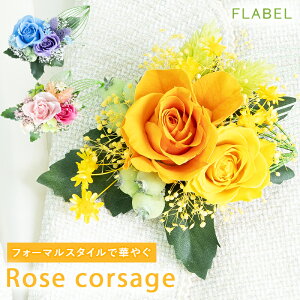 Iׂ3F vU[uht[ [YRT[W tH[} w  Ǝ  tH[} RT[W eq  ̎q w 낢 ͂Ȃ Ԃ̃RT[W uU[