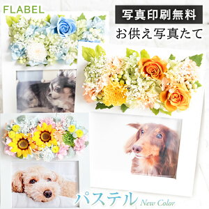 yy15YŒZzBzvU[uht[  ʐ^ tHgt[ ʐ^ ybg   蕨 AW  d  ~ ~  ybgX  L 
