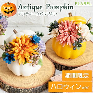 zB15 vU[uht[ AeB[NpvL ͂Ȃ  Mtg  CeA   nEB AWg o a v[g  FB  NV