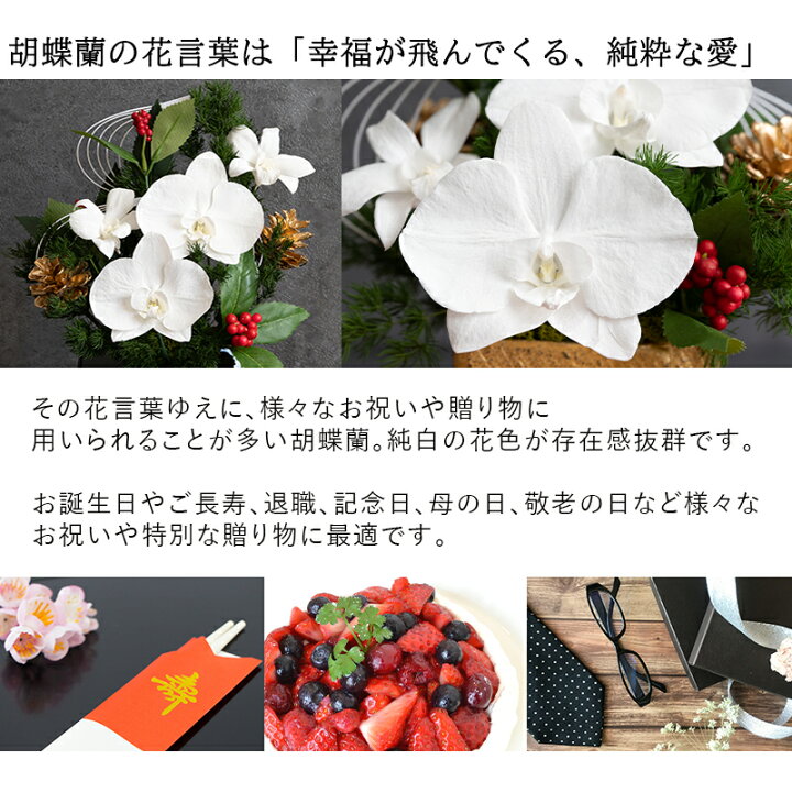 楽天市場 15時迄は最短翌日着 枯れない 胡蝶蘭 ギフト プリザーブドフラワー Amamitsuki コチョウラン デンファレ ケース入り 花 退職 祝い 定年 昇進 祝い 誕生日 プレゼント 母 祖母 卒寿 白寿 百寿 お祝い 記念日 お誕生日 ブリザードフラワー ギフト 父の日 楽天市場 15時迄は最短翌日着 枯れない 胡蝶蘭 ギフト プリザーブドフラワー Amamitsuki コチョウラン デンファレ ケース入り 花 退職 祝い 定年 昇進 祝い 誕生日 プレゼント 母 祖母 卒寿 白寿 百寿 お祝い 記念日 お誕生日 ブリザードフラワー ギフト 父の日
