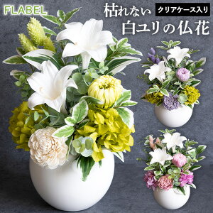 zB vU[uht[   ()  dp   AWg @    蕨 l\ @v  O   r u