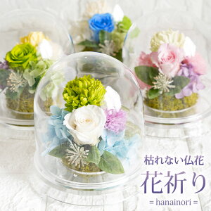 ySizz  vU[uht[ h[ ԋF    蕨 uU[uht[  dp AWg  O l\  @  r