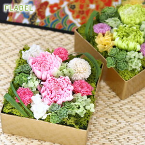 zB15 a vU[uht[ Ȃ P[X  j ͂Ȃ Mtg  ސEj N LOi 搶 Ê  Ď P  j  a v[g 