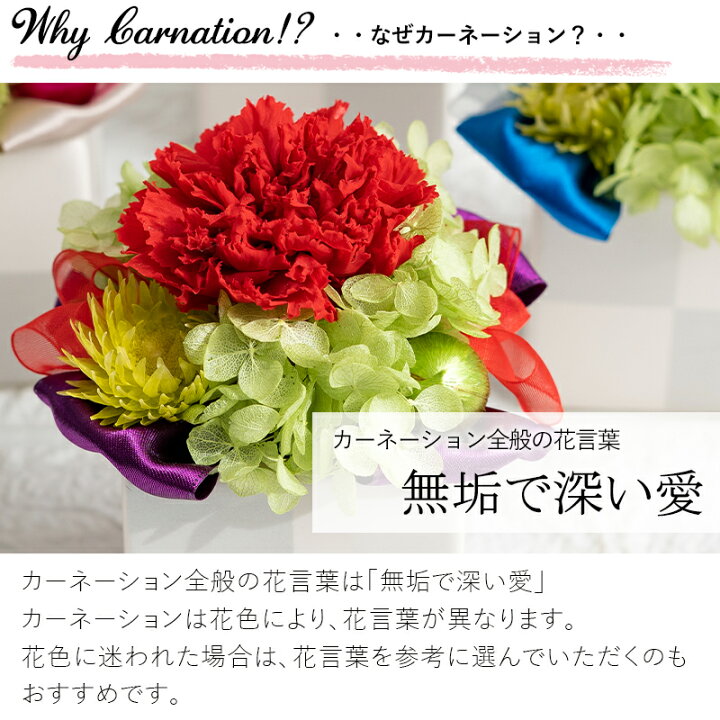 楽天市場 あす楽15時迄 日時指定 枯れないお花 プリザーブドフラワー ピッコロカーネ と 今治産 ハンカチ セット 誕生日 プレゼント 実用的 贈り物 ハンカチーフ 女性 母 父 祖母 女友達 おばあちゃん お誕生日 お花 ブリザードフラワー ギフト 退職祝い 送別会 転勤