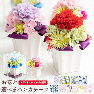 ySizz͂Ȃ  nJ` Zbg vU[uht[ sbRJ[l  Y ͂񂩂  a v[g   e c a  ސEj Êj j Ď