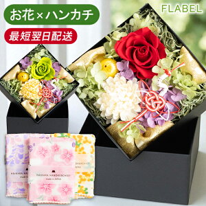 zB vU[uht[ {bNXt[ aĂ Y ͂񂩂 Zbg ͂Ȃ  uU[ht[ j җj Ê Ďj a v[g  e 