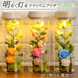 【全品半額】プリザーブドフラワー ガラスドーム テラリウム MOON GARDEN センスのいい 誕生日 プレゼント 女性 母 親 祖母 還暦祝い 退職祝い 開店祝い 新築祝い お誕生日 お花 開業祝い ブリザードフラワー ギフト お祝い バラ led 送料無料 日時指定