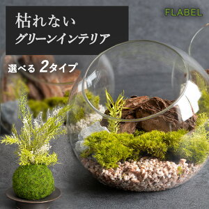 zB15 ۋ ~͕ vU[uht[ ۂ̐X ̓ a v[g  j uU[ht[ Mtg ސEj    v[g vU[uhO[