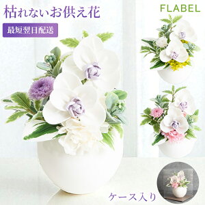 y15YŒZzBzӒ  ԋ   ~ ފ  ~ uU[h  蕨  dp  uU[ht[ l\ @  O   