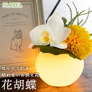 zB   ق̂蓔 ԌӒ ͂Ȃ Ӓ A[eBtBVt[     led  蕨 dp   r ̐l  l\ 49 @v 