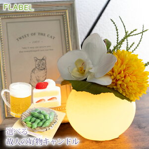 y15YŒZzBz A[eBtBVt[  ԌӒ J}[\N Iׂ ̐l̍D Lh Zbg        蕨 ~ 