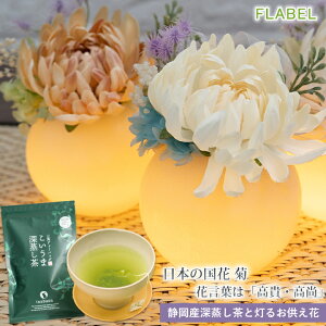 zB15    vU[uht[ A[eBtBVt[ ԋeƐÉZbg ~  ~ V~    蕨      led 