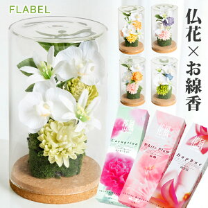 zB KXh[ AW Ԏ vU[uht[   Zbg     蕨  49 @v  O @    