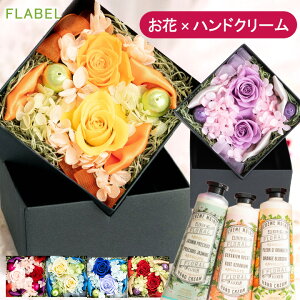 vU[uht[ {bNXt[ AeBGbg ~j nhN[ Zbg j  a v[g  FB  e c  j oYj ʉ ސEj Fl 