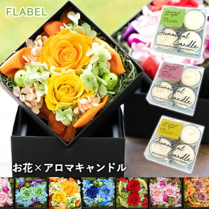 y15YŒZzBzvU[uht[ t[{bNX AeBGbg A}Lh Zbg      Mtg a v[g  e AEj 