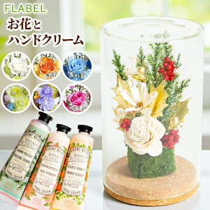 vU[uht[ i`{g nhN[Zbg   Ċ v[g o ZX̂ a v[g  FB   j oYj ސE