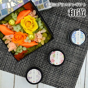 ƍ̃Lh@aVi䂤j 3Zbg iV{Ax_[AjJ}LhyԂƃZbĝ݂̔̔ƂȂ܂z