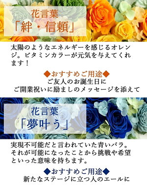 Liaison(リエゾン)|花言葉オレンジブルー|プリザーブドフラワー