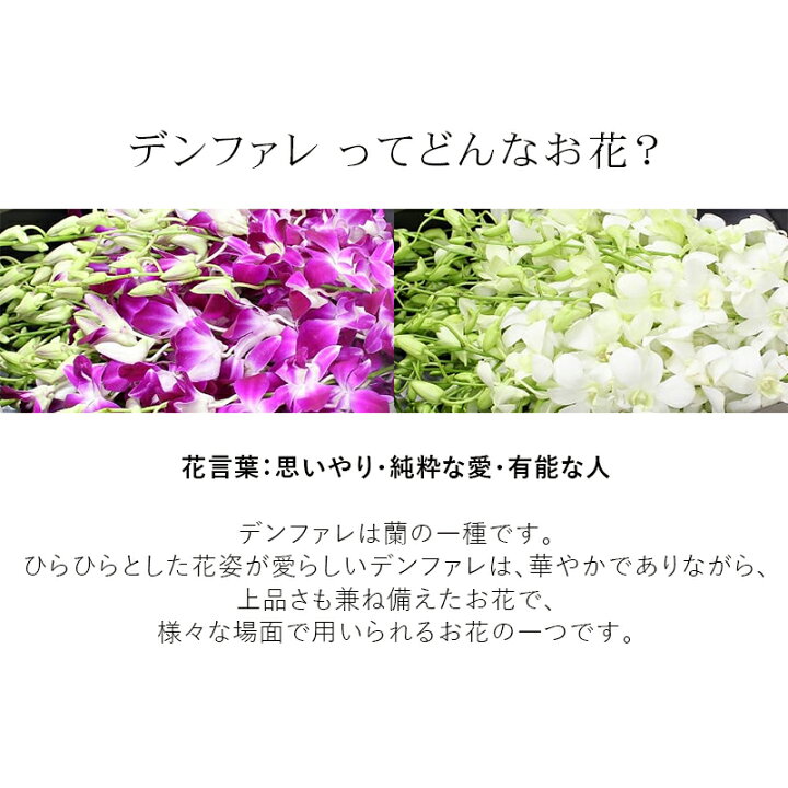 お花の花色を選べる ボリュームたっぷりのお別れ花 お別れ花 ご自分でお花を用意される方に お花 棺に入れる花 もぎ花 響 火葬式 たまゆら 直葬 棺桶 玉 もぎ盆 デンファレver