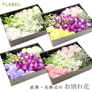 生花 桶 花 農業資材 ガーデニング用品の人気商品 通販 価格比較 価格 Com 生花 桶 花 農業資材 ガーデニング用品の人気商品 通販 価格比較 価格 Com