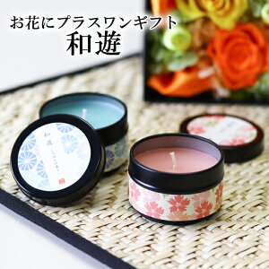 ƍ̃Lh@aVi䂤j 2Zbg iV{AjJ}LhyԂƃZbĝ݂̔̔ƂȂ܂z