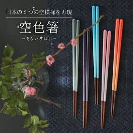 お箸 日本製 箸 23cm 食洗機対応 滑らない お洒落 プレゼント 誕生日 おしゃれ 女性用 可愛い 母の日 実用的 お返し ギフト セット 内祝い 高級 国産 女性 母 妻 娘 グラデーション 贈り物 新築祝い 古希お祝い 送料無料 FlaColle