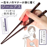 【中学生～大人まで】 矯正箸 大人用 【絶対にあきらめない 本気の矯正箸】FlaColle ジーニアス 矯正 箸 …