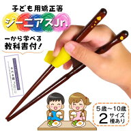 【5歳～10歳まで】 矯正箸 子供 【子どものために考えられた本気のトレーニング箸】 FlaColle ジーニアス…