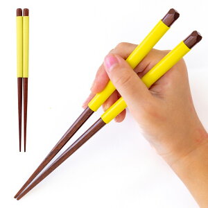 �y�q���`��l�܂Łz �⏕�� FlaColle �y �����₷�� �炭�炭fit �� �z�y�͂̎ア�q���₨�N���Ɂz ��l�p �q���p �T�|�[�g�� ��� ���� ���K ���� ������ ���{�� �����₷�� ���݂₷�� ��