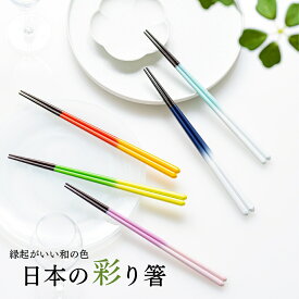 お箸 日本製 箸 23cm 食洗 滑らない グラデーション 食洗器対応 夫婦箸 家族 和風 誕生日 プレゼント おしゃれ 滑らない 女性用 還暦祝い 可愛い クリスマス お正月 母の日 お返し ギフト 贈り物 女性 誕生日プレゼント お祝い 送料無料 FlaColle