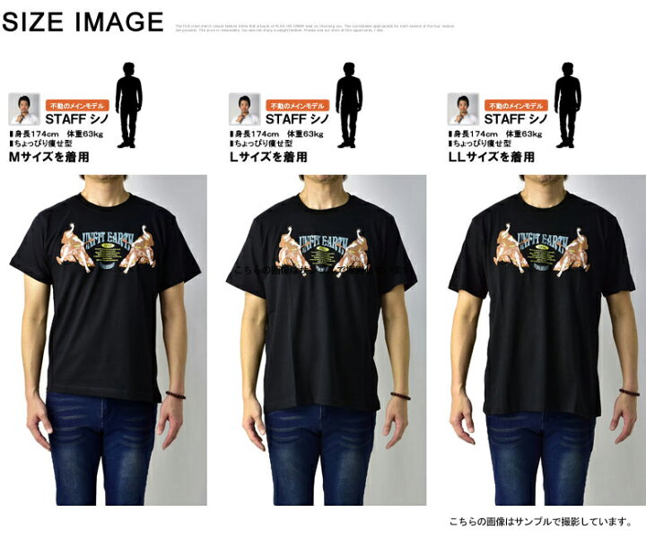 楽天市場】和柄Tシャツ メンズ 半袖 Tシャツ 和アメカジ プリント 