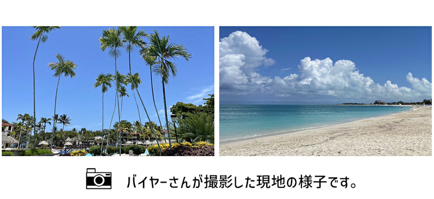 楽天市場 | FLAGS - コンクパールという奇跡