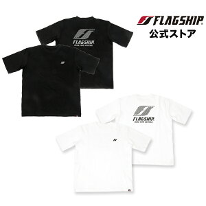 FT-A906 FLAGSHIP tbOVbv tbOVbvSTVc ̌胂f Y