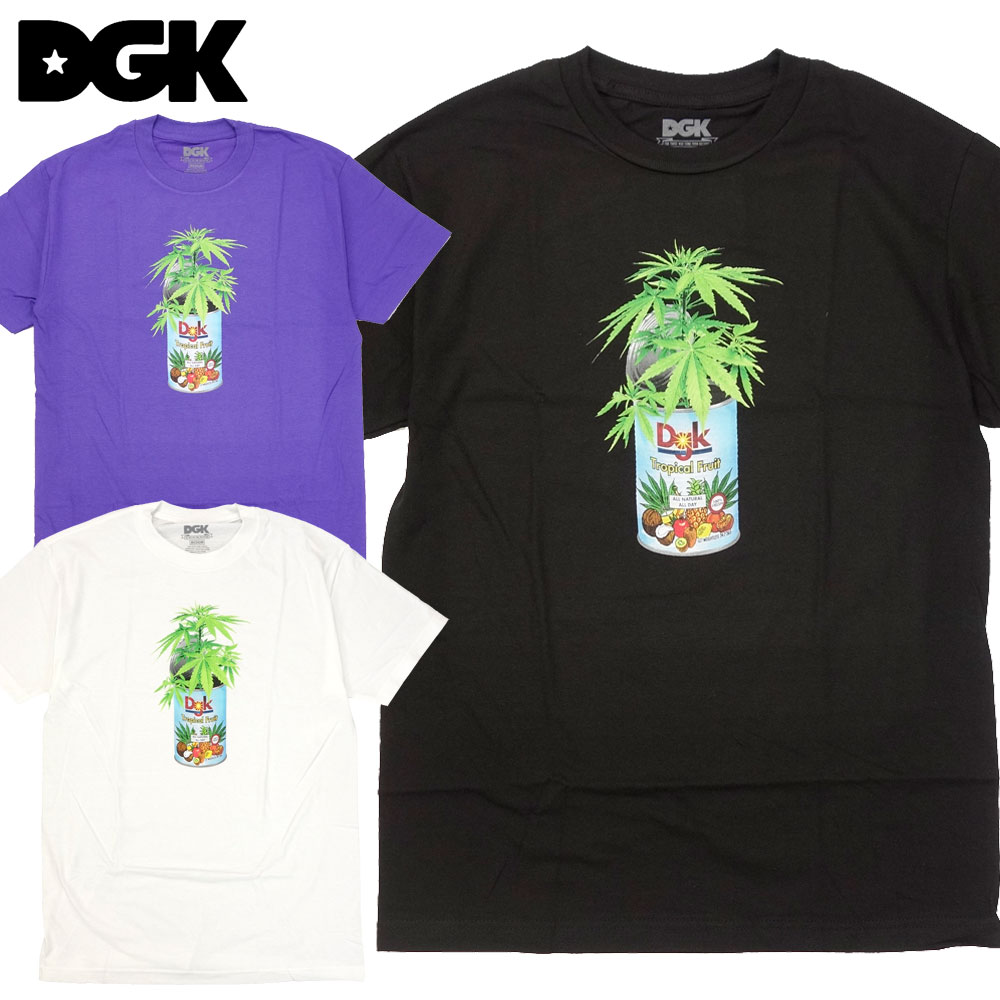DGK 40％OFFの激安セール ディージーケー TROPICAL FRUIT TEE Tシャツ 最安値 半袖