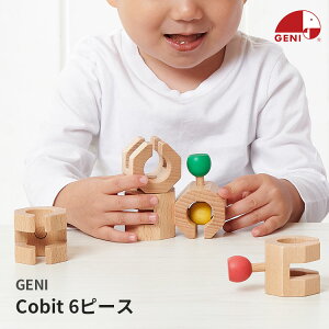 GENI �W�F�j �R�r�b�g 6�s�[�X Connectable Chain Cobit 6pieces �W�F�j GENI �y�|�C���g10�{�z�yp0421�z