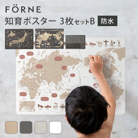 知育ポスター 3枚セット B（日本地図/世界地図/ローマ字） FORNE フォルネ【送料無料】【ASU】