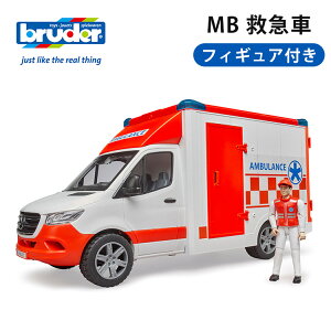 bruder MB ~} tBMAt u[_[ ZfXxc xc ~jJ[ 蕨  j̎q  av[g v[g NX}Xv[g vV[Y y