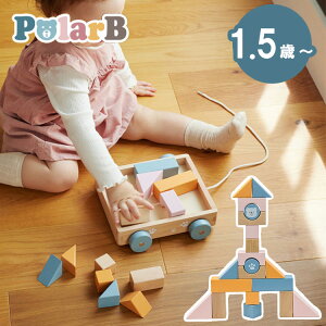 PolarB |[[r[ ݂S _bhEFC DADWAY 1Δ 1˔ ݂ ϖ vgC vg[C  v[g av[gy|Cg11{zy9/2zyCO×z