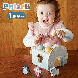 PolarB |[[r[ n}[Q[ 1Δ 1˔ _bhEFC DADWAY m mߋ  oYj v[g 킢    ؐ {[y|Cg10{zy9/16zyCO×z