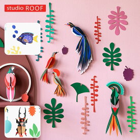 【特典付】studio Roof DECORATION KIT デコレーション・キット スタジオ・ルーフ （バード・オブザーバー/フィッシュ・ホビスト/ビートル・アンティクアリ) ペーパークラフト オランダ 壁飾り 飾り ウォールアート アート 【送料無料 ポイント5倍】【5/31】【ASU】