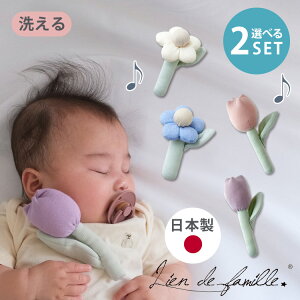 yԂփnJ`tzIׂ2Zbg Ԃ̃g Lien de famille ht@~[  g {  100%  ʐ^ Be Be KK xr[gC  ̖邨