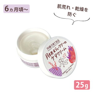 eB[c[̃PAN[ 25g qėǕi 6` Ԃ l q Y   jLr ނԂ h { ێN[ ێy|Cg5{zy9/17