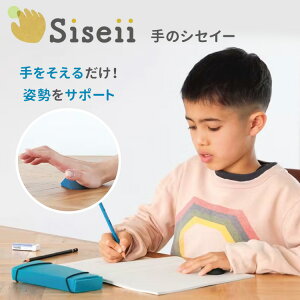 Siseii(VZC[) p Lw pێ p Lw P ێ T|[g fXN[N p ׋  ML qǂ j y[։zyDMz