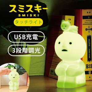 SMISKI Touch Light X~XL[ ^b`Cg ^\KXL[ lRXL[ Cg Cg VRCg  [Cg ^ USB [d tBMA LN^[ 킢 ԐڏƖ h