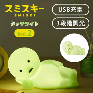 �y�V�V���[�Y�o��I�zSMISKI Touch Light Vol.2 �X�~�X�L�[ �^�b�`���C�g �{�����[���c�[ �S���l�X�L�[ ���e ��2�e ���C�g �������C�g ���� ���[�����C�g USB �[�d �t�B�M���A �L�����N�^�[ �Ԑڏ�