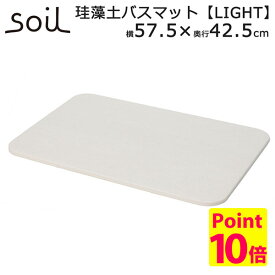 日本製 soil バスマット ライト（425×575×9.5mm）/BATH MAT LIGHT/アッシュコンセプト【アスベスト検査済】【送料無料】【ポイント10倍】【p0317】【GK】