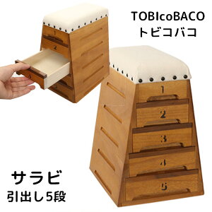 【ポイント5倍】TOBIcoBACO トビコバコ サラビ 跳び箱型小物入れ 引き出し5段【送料無料】【p1104】