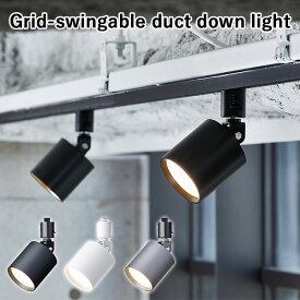 Grid-swingable duct down light グリッドスウィングエイブルダクトダウンライト AW-0557E/ART WORK STUDIO【送料無料】【ポイント10倍】【5/31】【ASU】